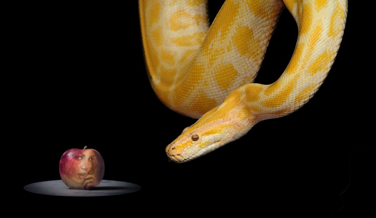 A yellow snake hangs from above, its head dangling below, staring at the reflection of a woman's face in a polished apple, amongst a backdrop of total darkness—a portrayal of humanity's obsession with creating self-images which are distorted and false.